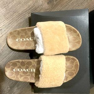 SLIDES/SHOES